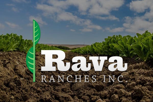Rava Ranches Inc